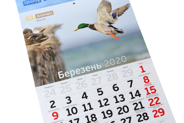 Бумажная книга «Календар на 2020. Світовид. Animals» - фото №1