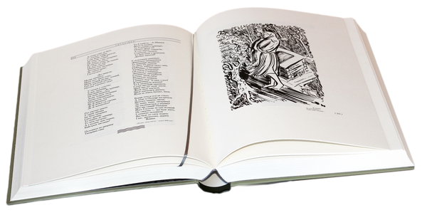 Паперова книга «Кобзар», автор Тарас Шевченко - фото №1