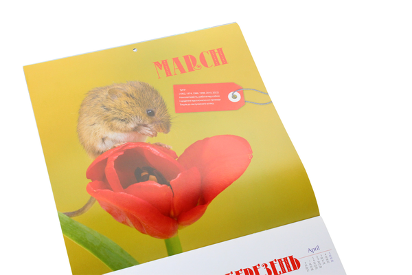 Бумажная книга «Календар на 2020. Свято кожен день. Рік миші. Кумедні мишки» - фото №1