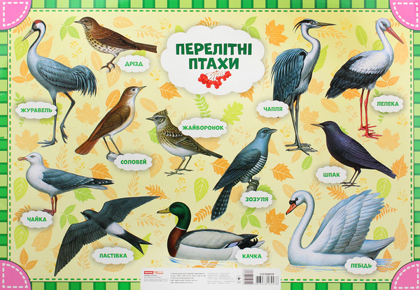 Бумажная книга «Лепбук. Осінь» - фото №1