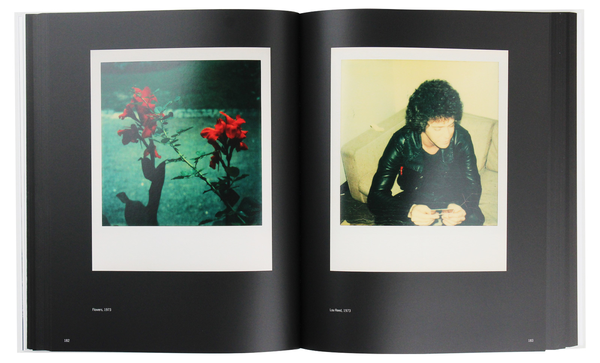 Бумажная книга «Andy Warhol. Polaroids 1958-1987», автор Ричард Б. Вудворд - фото №1