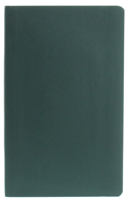  «Записная книга Moleskine PRO недатированная зеленая (PROPFNTB3SK19)», бренда Moleskine - фото №1