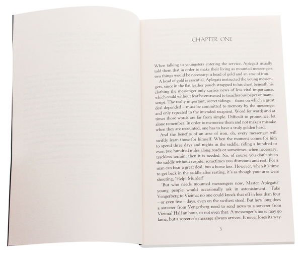 Бумажная книга «The Witcher. Time of Contempt», автор Анджей Сапковский - фото №1