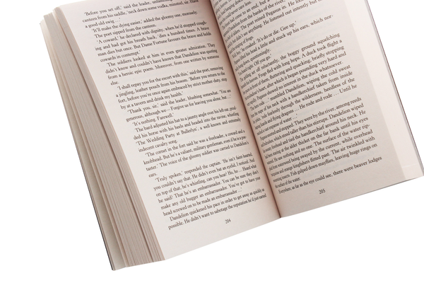 Бумажная книга «The Witcher. Time of Contempt», автор Анджей Сапковский - фото №1