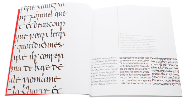 Паперова книга «Calligraphy. A Book of Contemporary Inspiration», автор Деніз Лах - фото №1