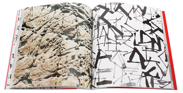 Паперова книга «Calligraphy. A Book of Contemporary Inspiration», автор Деніз Лах - фото №1