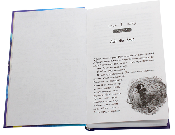 Бумажная книга «Школа добра і зла (комплект із 6 книг)», автор Соман Чайнани - фото №1