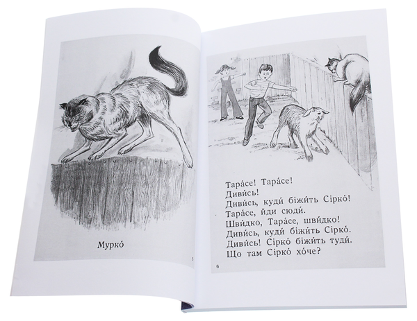 Паперова книга «Друзі. Школа. Читанка для розвитку української мови», автор Ксенія Турко - фото №1