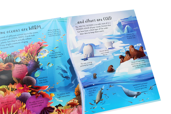 Паперова книга «See Inside Oceans», автор Эмілі Боун - фото №1