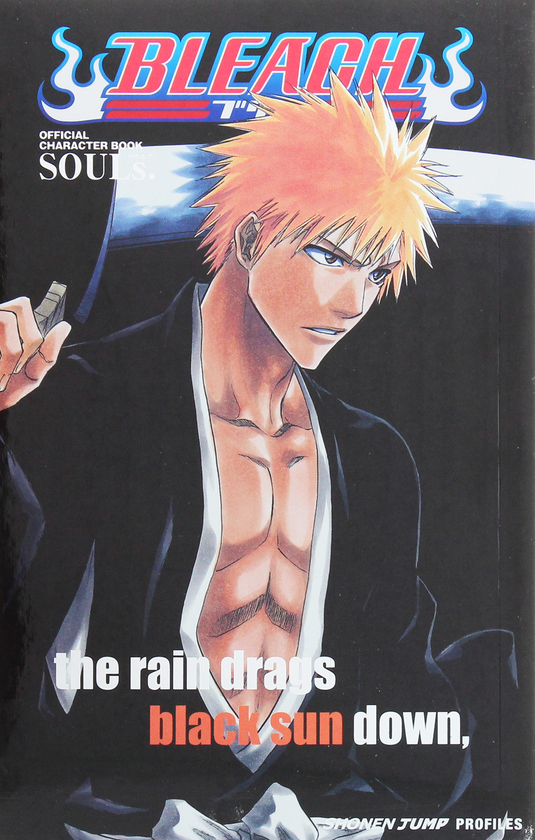 Паперова книга «Bleach SOULs. Official Character Book», автор Тайто Кубо - фото №1