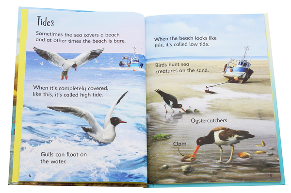 Бумажная книга «On the Beach», автор Эмили Боун - фото №1
