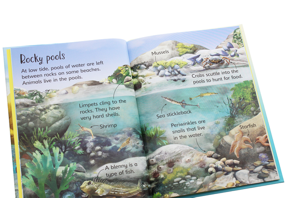 Бумажная книга «On the Beach», автор Эмили Боун - фото №1