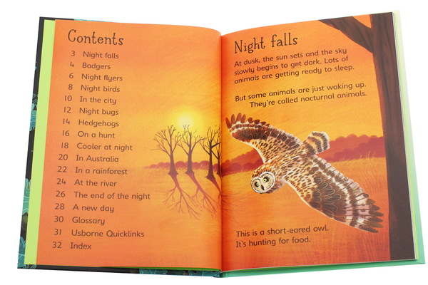 Паперова книга «Night and Day», автор Эмілі Боун - фото №1