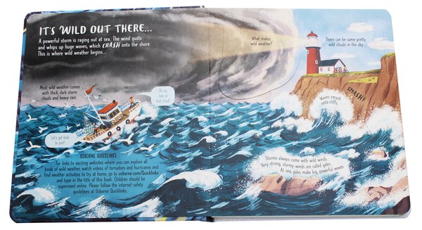 Бумажная книга «Look Inside Wild Weather», автор Эмили Боун - фото №1