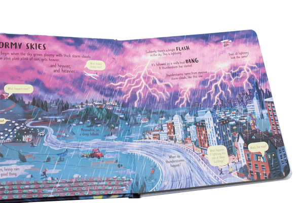 Бумажная книга «Look Inside Wild Weather», автор Эмили Боун - фото №1