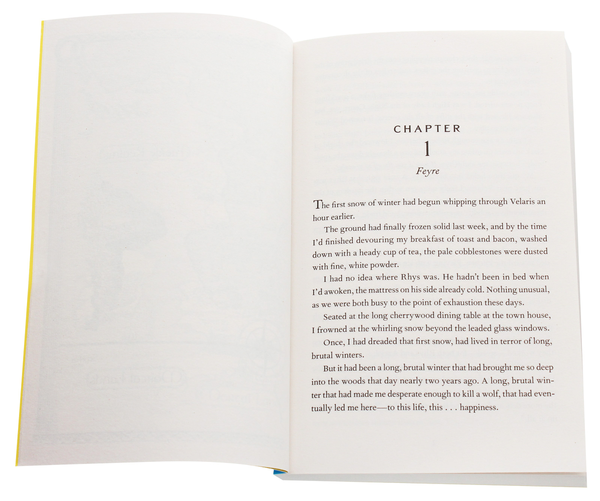 Бумажная книга «A Court of Frost and Starlight», автор Сара Дж. Маас - фото №1
