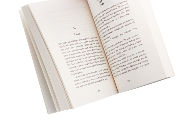 Бумажная книга «On Midnight Beach», автор Мари-Луиза Фитцпатрик - фото №1