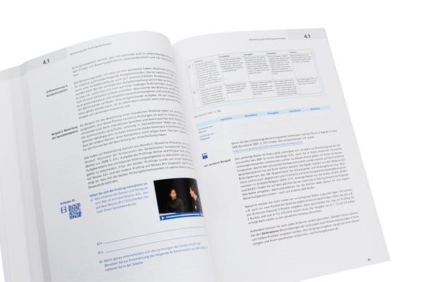 Бумажная книга «DLL 07. Prüfen, Testen, Evaluieren (+DVD-Rom)» - фото №1
