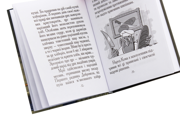 Паперова книга «Казка про Добромола», автор Олександр Турчинов - фото №1
