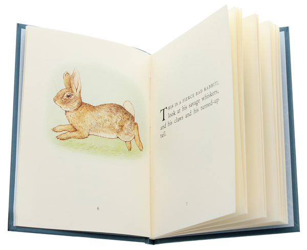 Бумажная книга «The Story of A Fierce Bad Rabbit», автор Беатрис Поттер - фото №1