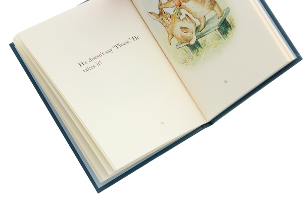 Бумажная книга «The Story of A Fierce Bad Rabbit», автор Беатрис Поттер - фото №1