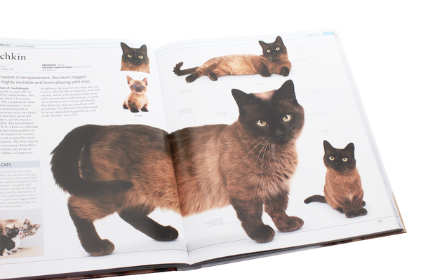 Паперова книга «The Cat Encyclopedia» - фото №1