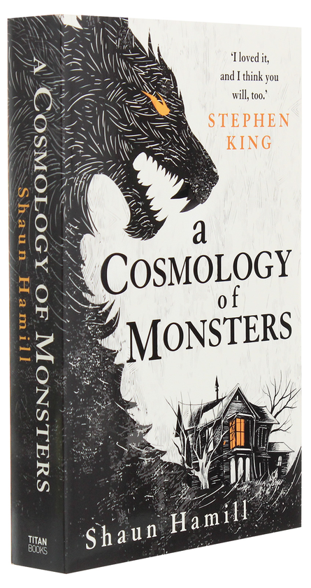 Паперова книга «A Cosmology of Monsters», автор Шон Гемілл - фото №1