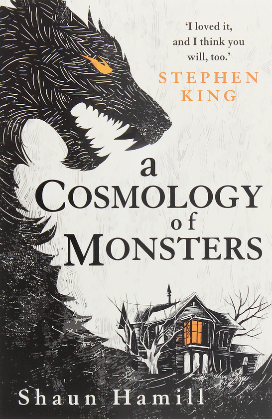 Паперова книга «A Cosmology of Monsters», автор Шон Гемілл - фото №1