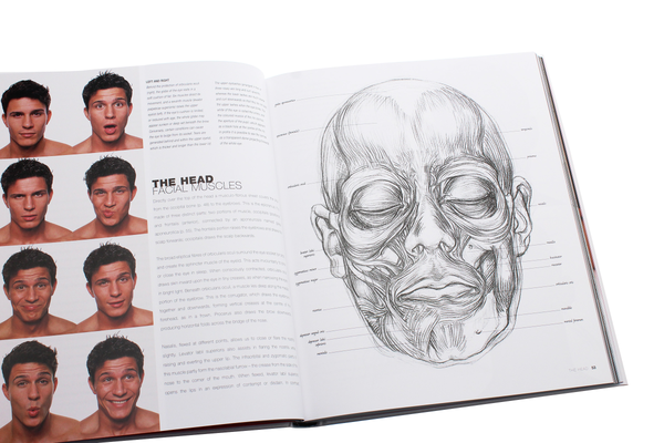 Паперова книга «Anatomy for the Artist», автор Сара Сімблет - фото №1