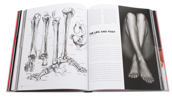 Паперова книга «Anatomy for the Artist», автор Сара Сімблет - фото №1