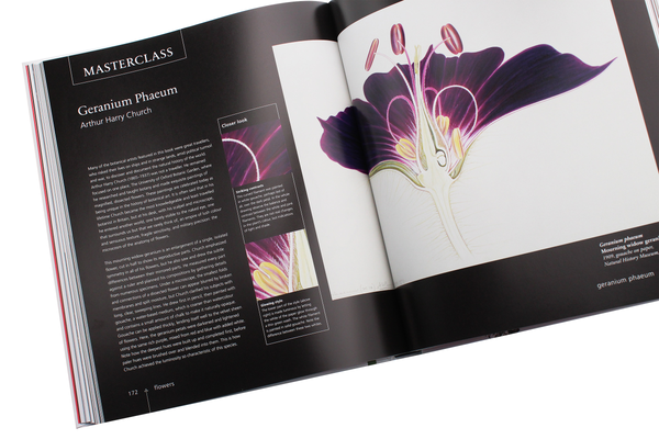 Паперова книга «Botany for the Artist», автор Сара Сімблет - фото №1