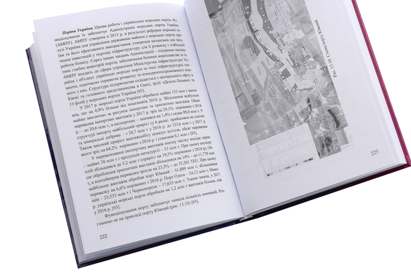 Паперова книга «Транспортна географія», авторів Сергій Литвиненко, Петро Яновський, Галина Нестеренко, Тетяна Габріелова - фото №1