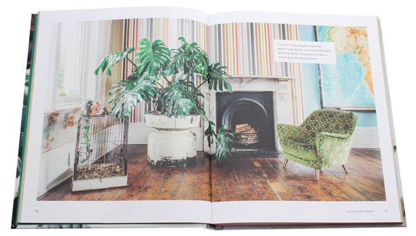 Бумажная книга «Living With Plants: A Guide to Indoor Gardening», автор Софи Ли - фото №1