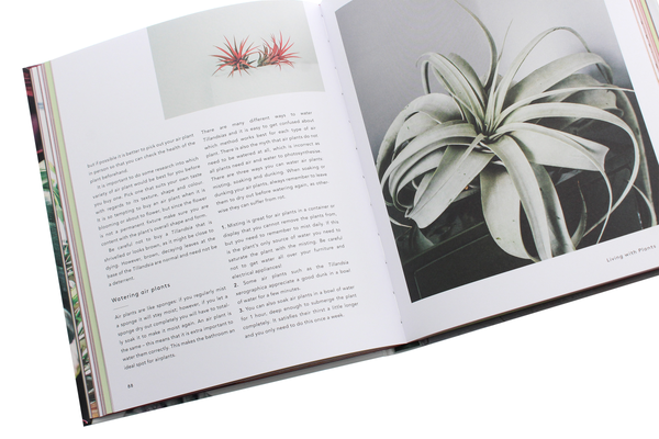 Бумажная книга «Living With Plants: A Guide to Indoor Gardening», автор Софи Ли - фото №1