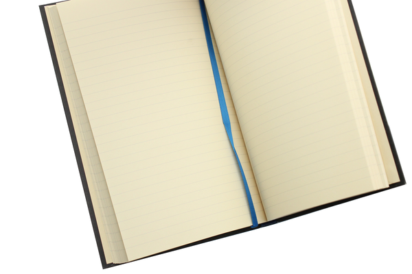Паперова книга «Not to be Taken. Penguin TriBand Notebook» - фото №1