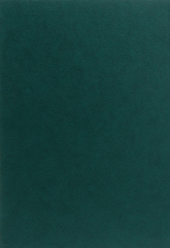 Паперова книга «Фразеологія творів Бориса Харчука. Словник» - фото №1