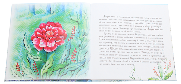 Бумажная книга «Бурмотійко і Даринка», автор Валентина Семеняк - фото №1