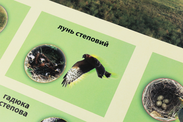 Паперова книга «Степова зона. Плакат» - фото №1