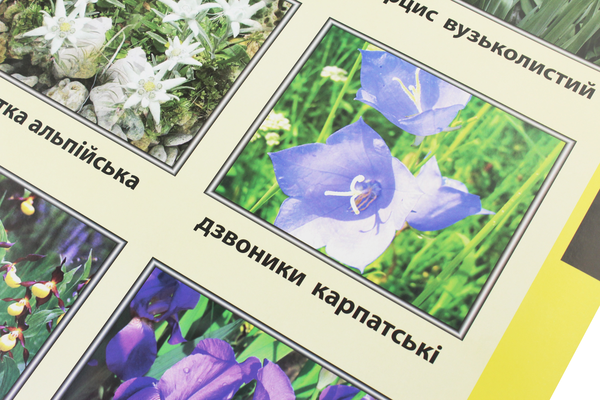 Паперова книга «Червона книга України. Рослини. Плакат» - фото №1