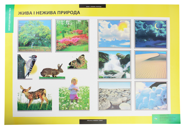 Паперова книга «Жива і нежива природа. Плакат» - фото №1