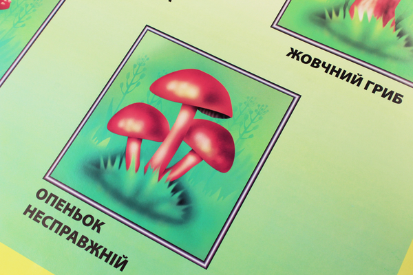 Паперова книга «Отруйні рослини та гриби. Плакат» - фото №1