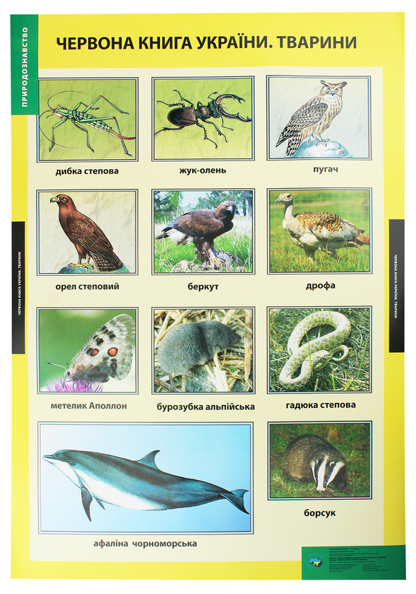 Паперова книга «Червона книга України. Тварини. Плакат» - фото №1