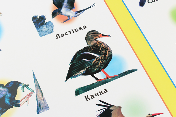 Паперова книга «Перелітні та зимуючі птахи. Плакат» - фото №1