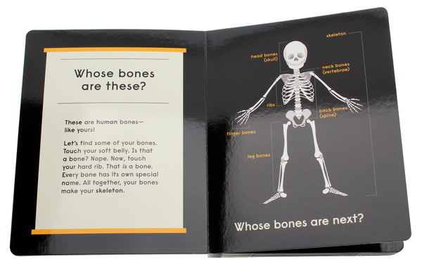 Бумажная книга «Whose Bones? An Animal Guessing Game», автор Габриэль Балкан - фото №1