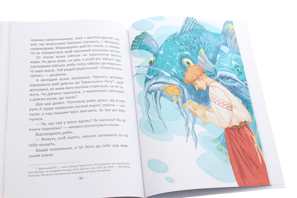 Бумажная книга «Найкращий подарунок. Легенди про козаків», автор Элина Заржицкая - фото №1