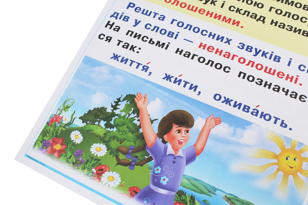 Паперова книга «Українська мова в таблицях. 2 клас», автор Галина Шандрівська - фото №1