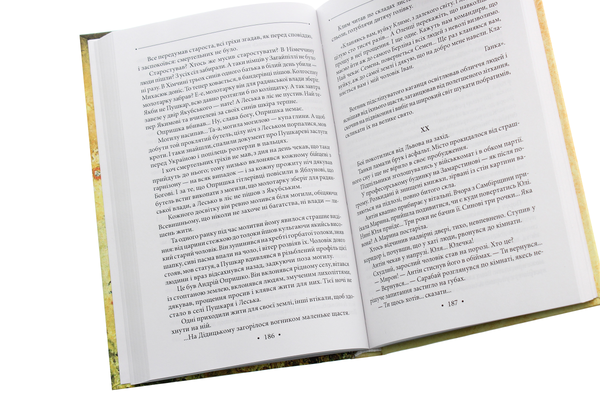 Паперова книга «Жарінь. Зупинись, подорожній!», автор Роман Іваничук - фото №1