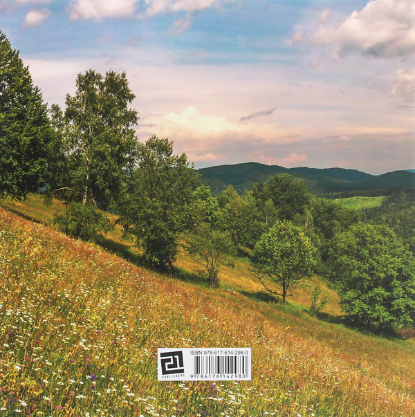 Бумажная книга «Буковина. Чернівецька область / Bukovyna. Chernivtsi Region», автор Ирина Пустынникова - фото №1