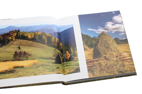 Бумажная книга «Буковина. Чернівецька область / Bukovyna. Chernivtsi Region», автор Ирина Пустынникова - фото №1