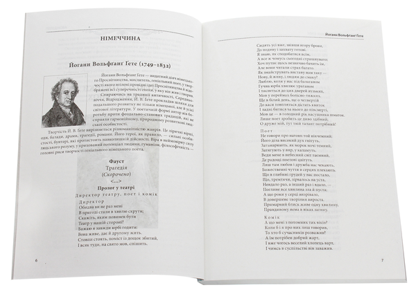 Паперова книга «Зарубіжна література. 11 клас. Хрестоматія» - фото №1